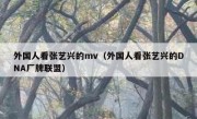 外国人看张艺兴的mv（外国人看张艺兴的DNA厂牌联盟）