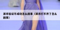 派币验证不成功怎么回事（派币打不开了怎么回事）