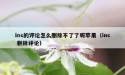 ins的评论怎么删除不了了呢苹果（ins 删除评论）