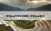 华为pay不可以扫码吗（华为pay被扫）