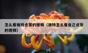 怎么看推特点赞的视频（推特怎么看自己点赞的视频）