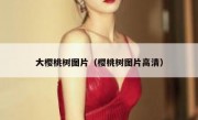大樱桃树图片（樱桃树图片高清）