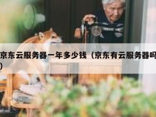 京东云服务器一年多少钱（京东有云服务器吗）