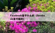 Facebook是干什么的（facebook是干嘛的）