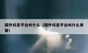 国外抖音平台叫什么（国外抖音平台叫什么来着）