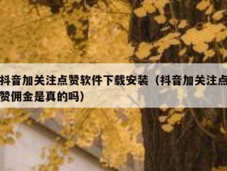 抖音加关注点赞软件下载安装（抖音加关注点赞佣金是真的吗）