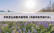 手机怎么设置大陆号码（大陆手机号加什么）