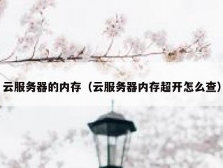 云服务器的内存（云服务器内存超开怎么查）