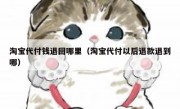 淘宝代付钱退回哪里（淘宝代付以后退款退到哪）