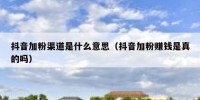 抖音加粉渠道是什么意思（抖音加粉赚钱是真的吗）