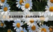 怎么购买股票（怎么购买股票etf）