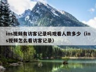 ins视频有访客记录吗观看人数多少（ins视频怎么看访客记录）