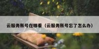 云服务账号在哪看（云服务账号忘了怎么办）