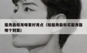 服务器租用哪里好用点（租服务器和买服务器哪个划算）