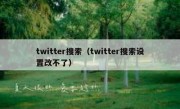 twitter搜索（twitter搜索设置改不了）
