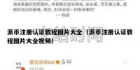 派币注册认证教程图片大全（派币注册认证教程图片大全视频）