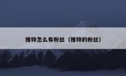 推特怎么有粉丝（推特的粉丝）