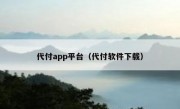 代付app平台（代付软件下载）