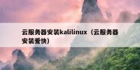 云服务器安装kalilinux（云服务器安装爱快）