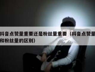 抖音点赞量重要还是粉丝量重要（抖音点赞量和粉丝量的区别）