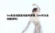 ins有自动回复功能吗苹果（ins可以自动翻译吗）