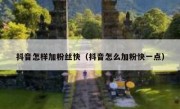 抖音怎样加粉丝快（抖音怎么加粉快一点）