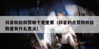 抖音粉丝和赞哪个更重要（抖音的点赞和粉丝数量有什么意义）