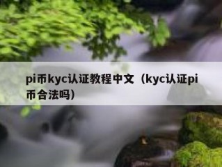 pi币kyc认证教程中文（kyc认证pi币合法吗）
