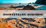 派币的英文名字怎么填写（派币是中国的吗）