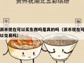 派币现在可以买东西吗是真的吗（派币现在可以交易吗）