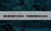 国内服务器行业龙头（中国服务器龙头企业）