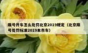 限号开车怎么处罚北京2019规定（北京限号处罚标准2019本市车）