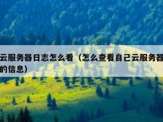 云服务器日志怎么看（怎么查看自己云服务器的信息）