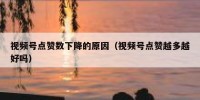 视频号点赞数下降的原因（视频号点赞越多越好吗）