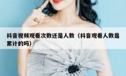 抖音视频观看次数还是人数（抖音观看人数是累计的吗）