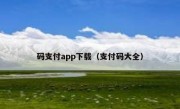 码支付app下载（支付码大全）