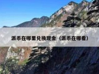 派币在哪里兑换现金（派币在哪看）