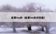 能看ins的（能看ins的浏览器）