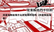 抖音加粉丝有什么好处和坏处吗（抖音粉丝加粉）