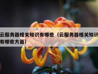 云服务器相关知识有哪些（云服务器相关知识有哪些方面）
