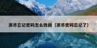 派币忘记密码怎么找回（派币密码忘记了）