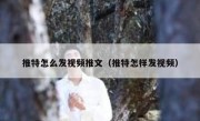 推特怎么发视频推文（推特怎样发视频）