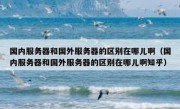 国内服务器和国外服务器的区别在哪儿啊（国内服务器和国外服务器的区别在哪儿啊知乎）