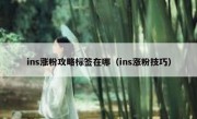 ins涨粉攻略标签在哪（ins涨粉技巧）