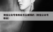 微信公众号有粉丝怎么赚钱的（微信公众号 粉丝）