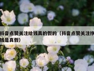 抖音点赞关注给钱真的假的（抖音点赞关注挣钱是真假）