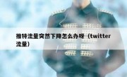 推特流量突然下降怎么办呀（twitter流量）