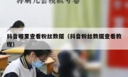 抖音哪里查看粉丝数据（抖音粉丝数据查看教程）