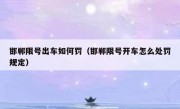 邯郸限号出车如何罚（邯郸限号开车怎么处罚规定）