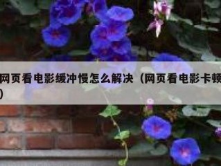网页看电影缓冲慢怎么解决（网页看电影卡顿）